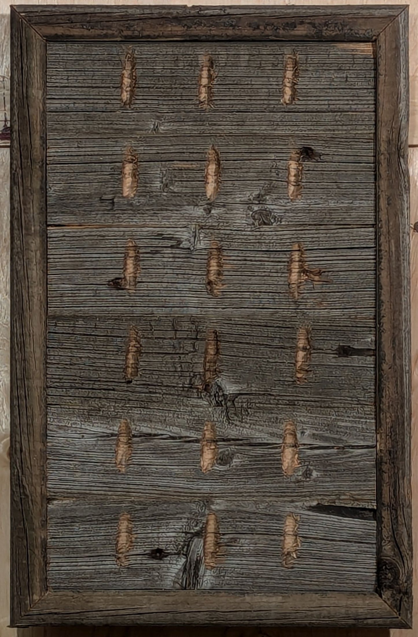 Barn Board Holder